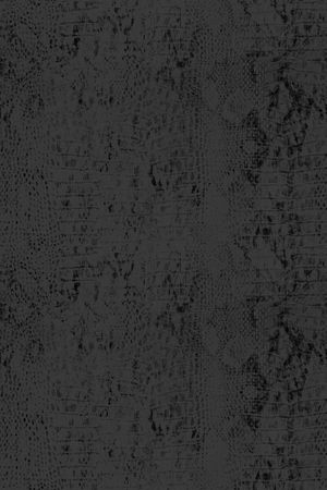 动物纹印花华亿平台图片