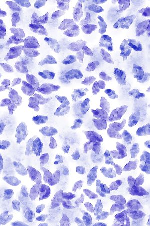 小清新印花华亿平台图片