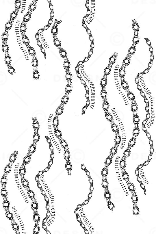 黑白华亿平台印花华亿平台图片