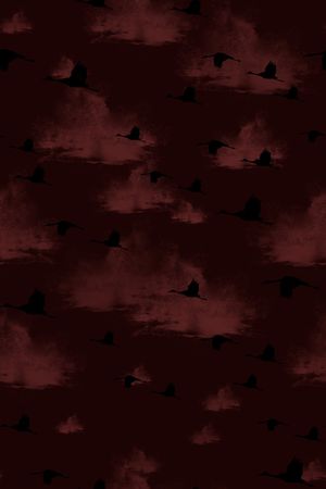 男装印花华亿平台图片