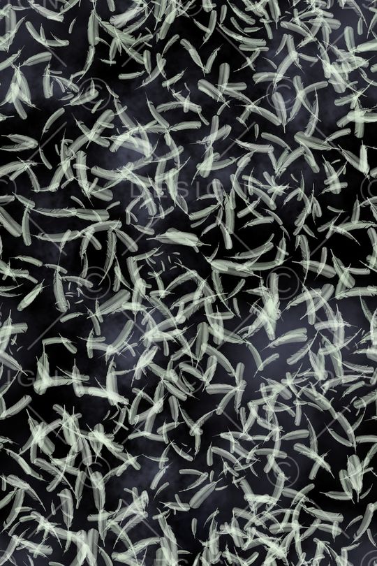 羽毛印花华亿平台图片