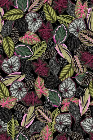 黑底花卉印花华亿平台图片