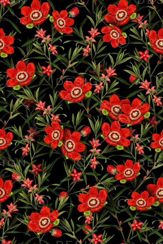 植物印花华亿平台图片