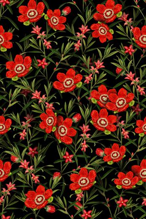 植物印花华亿平台图片