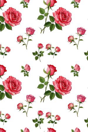 雪纺印花华亿平台图片