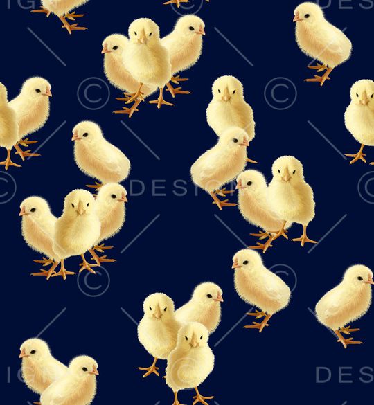 小鸡印花华亿平台图片