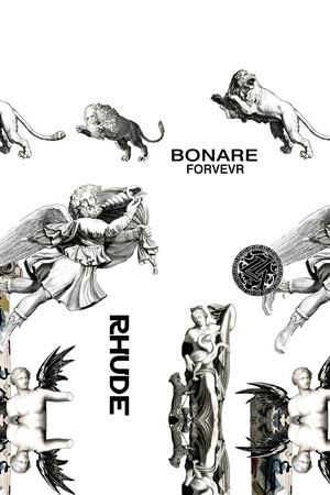 狮子印花华亿平台图片