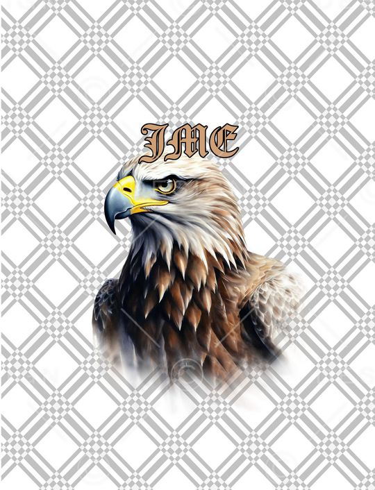 老鹰印花华亿平台图片