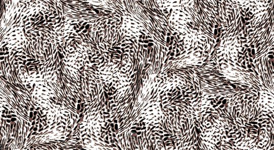 动物纹印花华亿平台图片