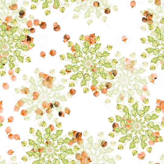 花瓣印花华亿平台图片