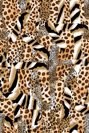 豹纹印花华亿平台图片