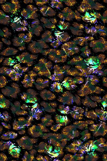 抽象印花华亿平台图片