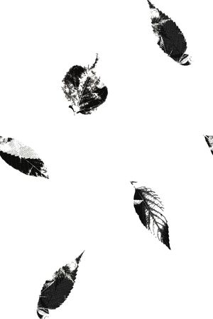 休闲印花华亿平台图片