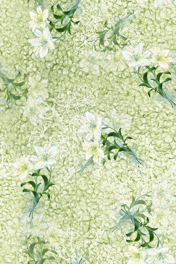 1616672-2025-5-18（花卉系列4）