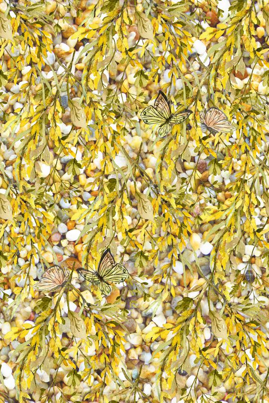 石头印花华亿平台图片