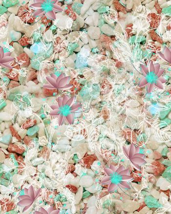 1616838-2025-5-19（花卉系列3）