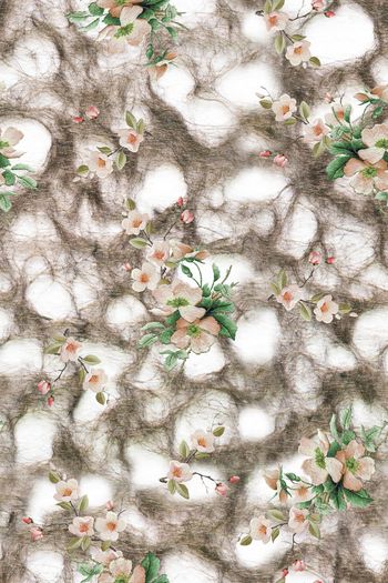 1617101-2025-5-21（抽象系列1）