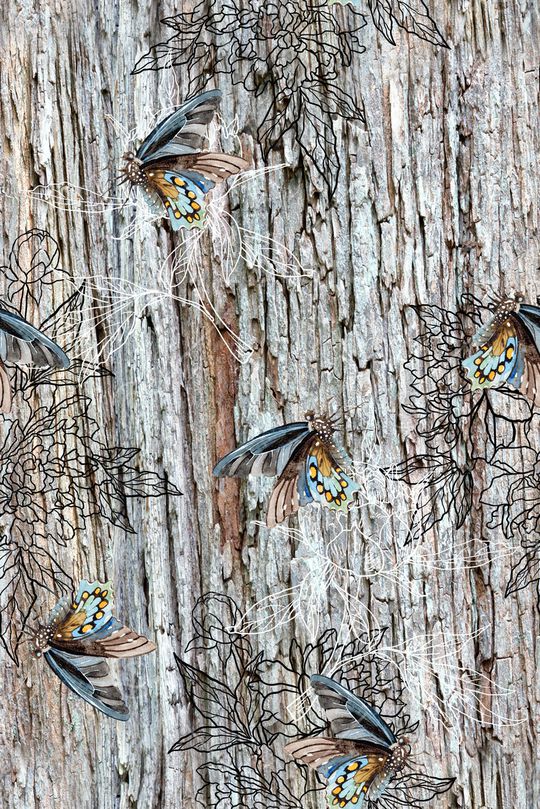 肌理印花华亿平台图片