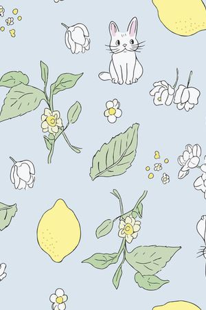 兔子印花华亿平台图片