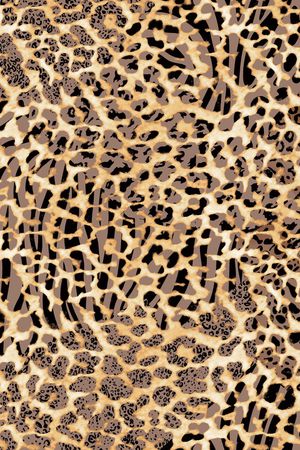 豹纹印花华亿平台图片