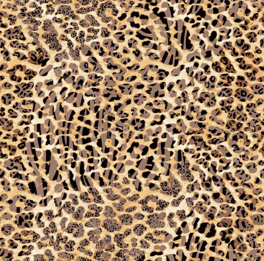 豹纹印花华亿平台图片