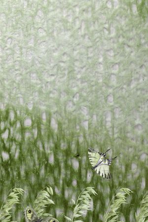 晕染肌理印花华亿平台图片