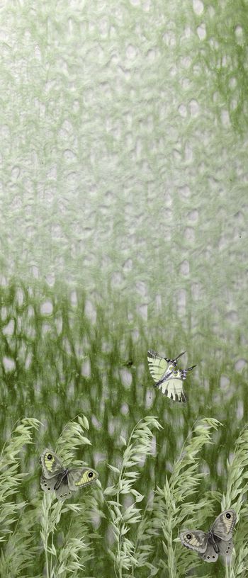 1620188-2025-6-18（独幅系列1）