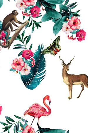 猴子印花华亿平台图片