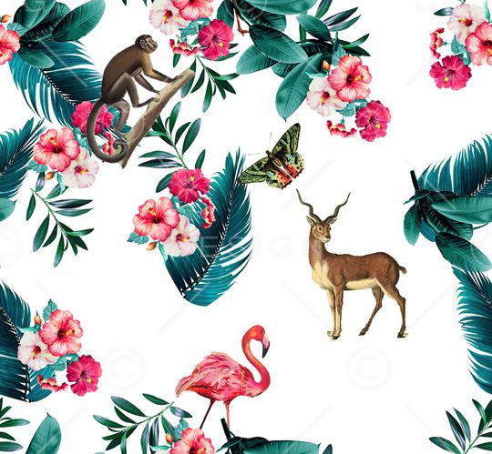 猴子印花华亿平台图片