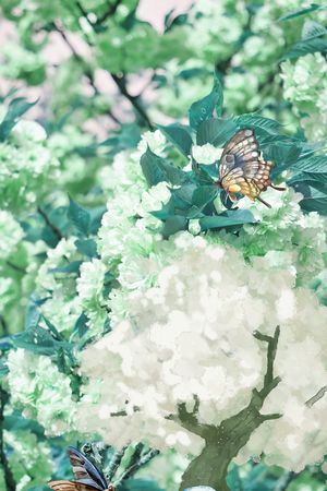 树印花华亿平台图片