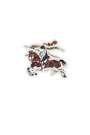 马印花华亿平台图片