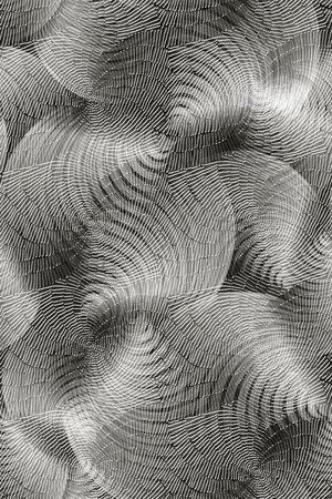 线条印花华亿平台图片