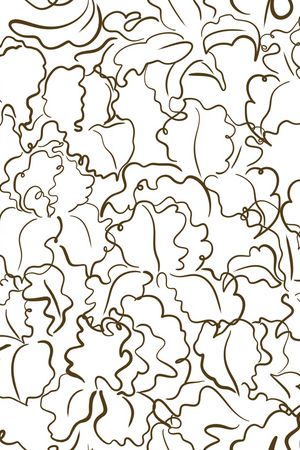 叶子印花华亿平台图片