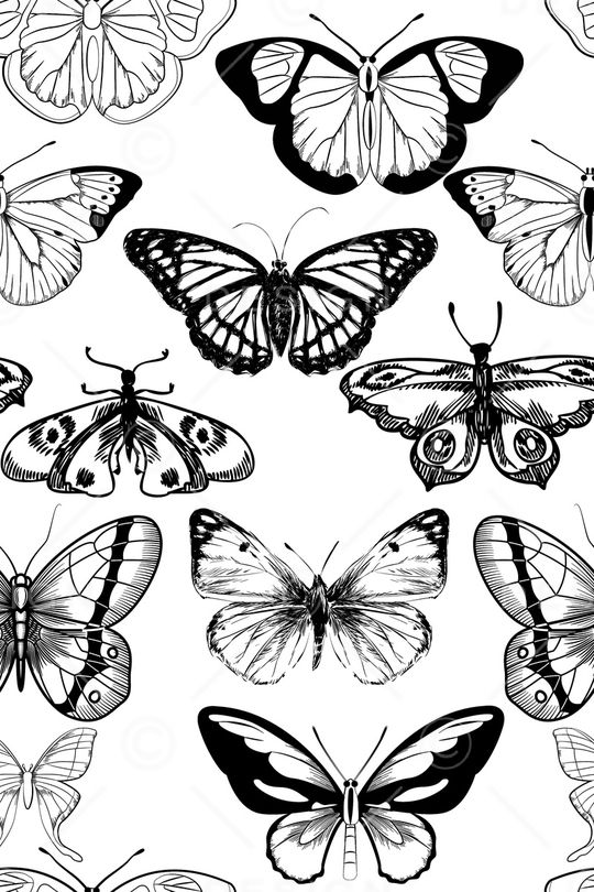 黑白华亿平台印花华亿平台图片