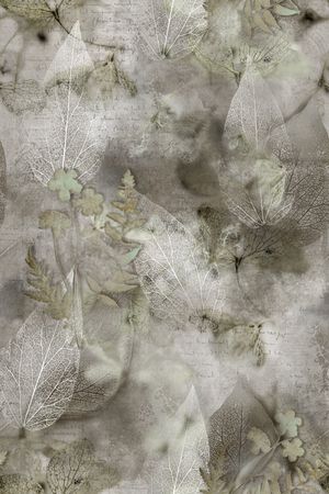 男装印花华亿平台图片