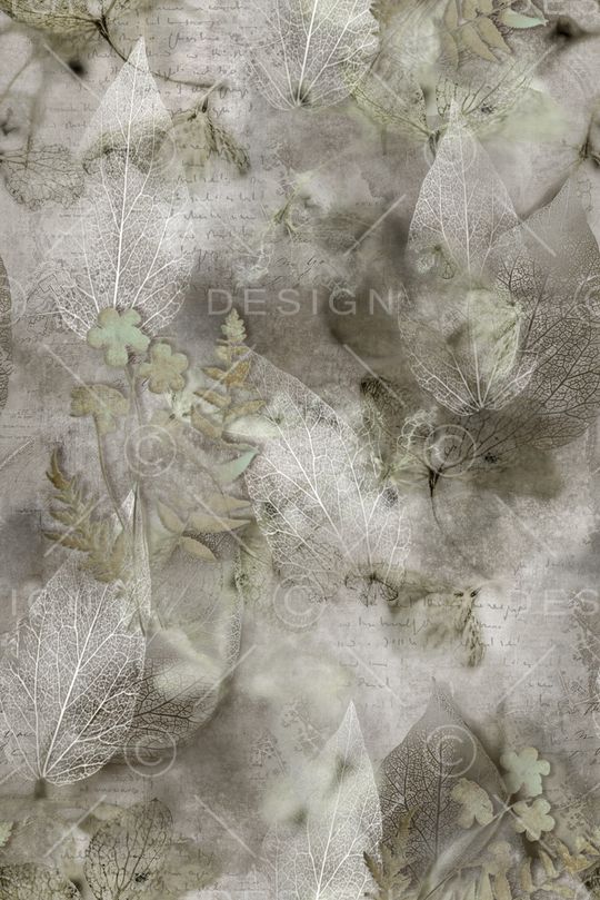 男装印花华亿平台图片