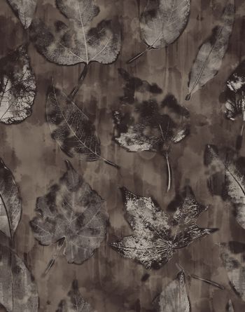 植物印花华亿平台图片