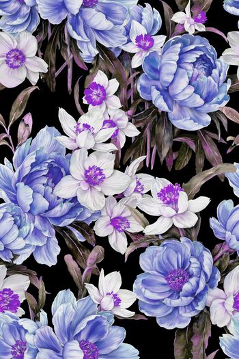 1624860-黑底蓝色素铅花