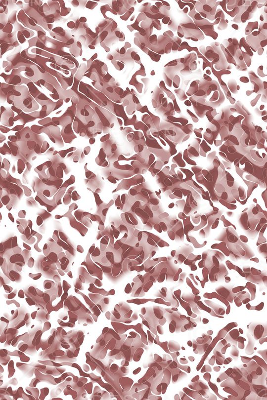 豹纹印花华亿平台图片