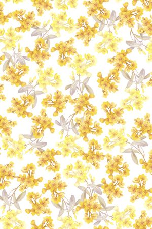 年轻女装印花华亿平台图片