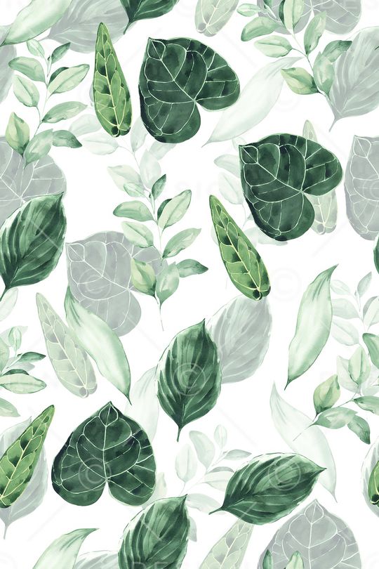 热带印花华亿平台图片