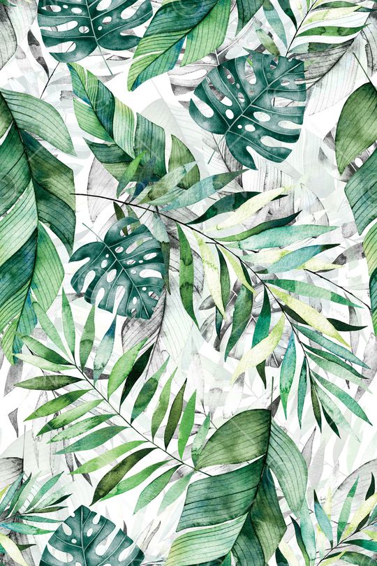 热带印花华亿平台图片