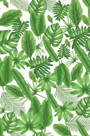 热带印花华亿平台图片