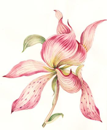 大花印花华亿平台图片