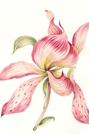 大花印花华亿平台图片