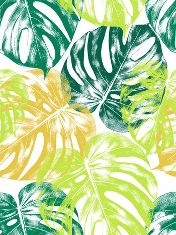 植物印花华亿平台图片