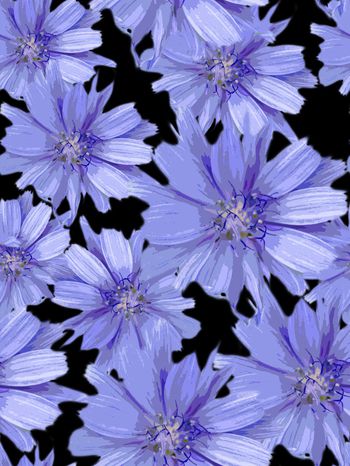 1628228-黑色底雏菊