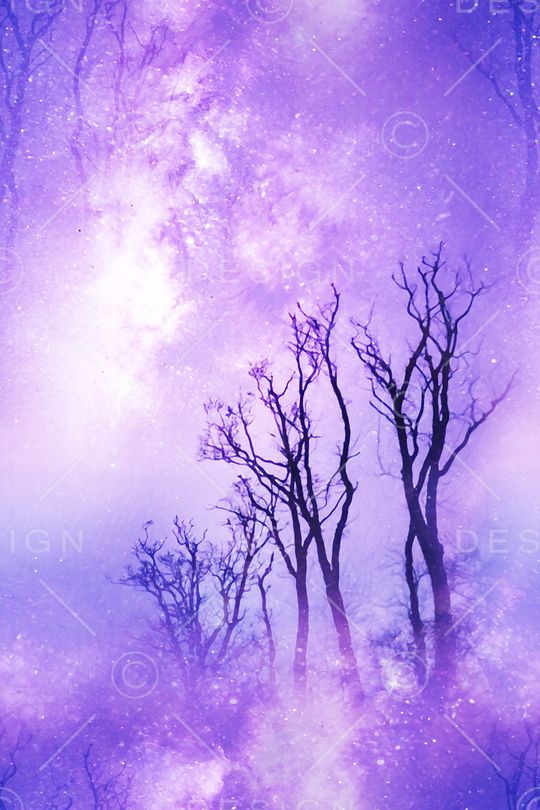 树印花华亿平台图片