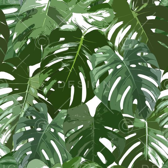 植物印花华亿平台图片