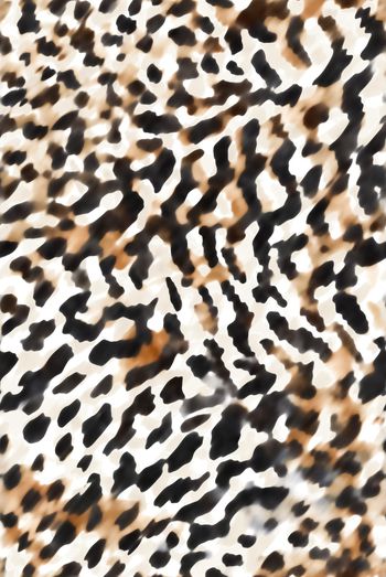 豹纹印花华亿平台图片